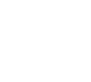 White - PhD Texas